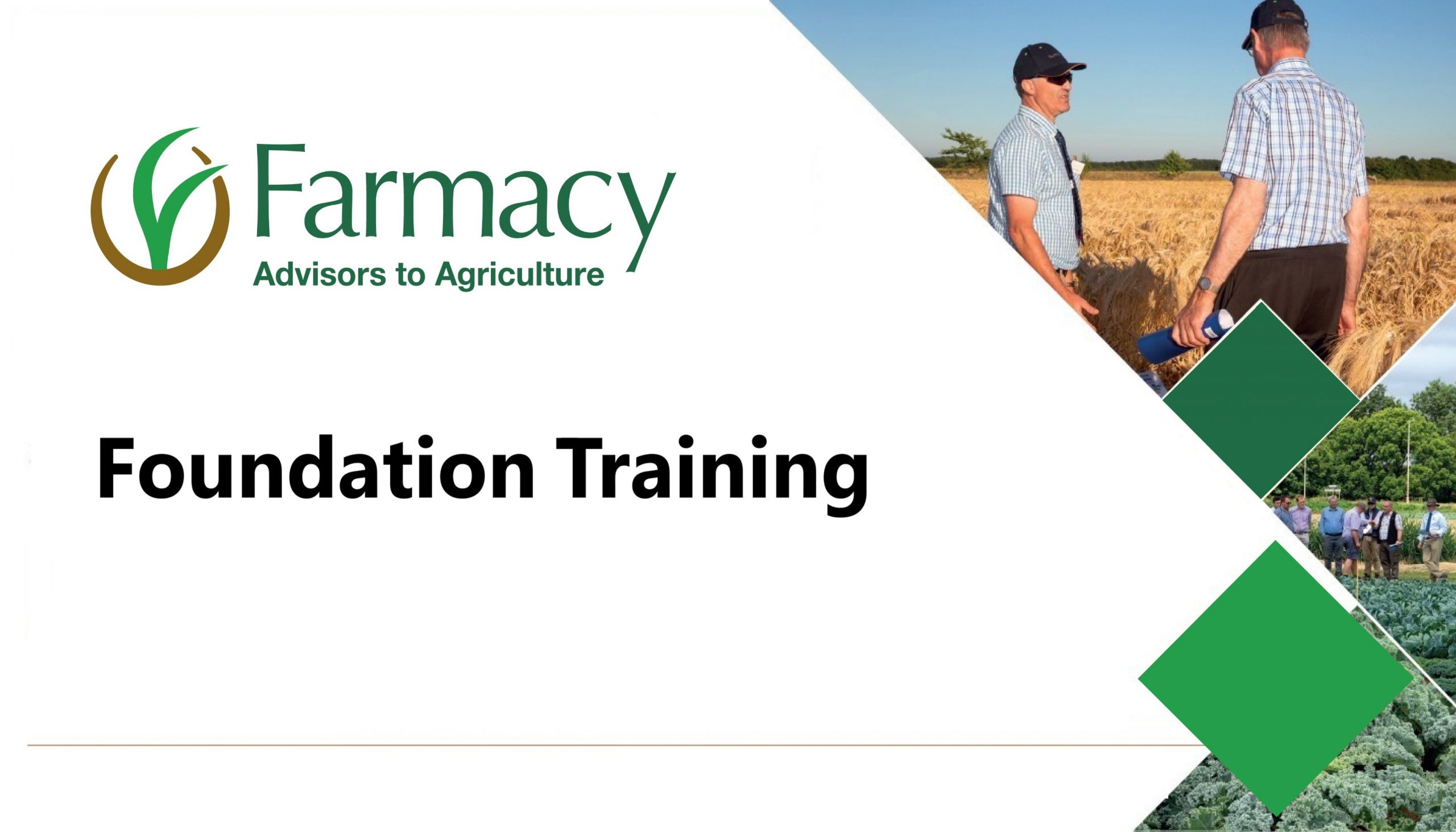 Foundation Training - Farmacy